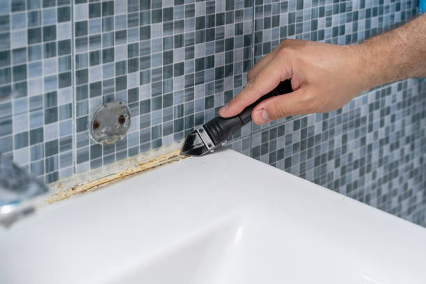 Best Black Mold Remediation in Lake Hopatcong, NJ